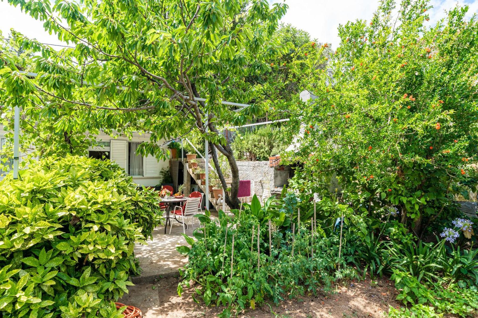Apartments Zarac Dubrovnik Chambre photo